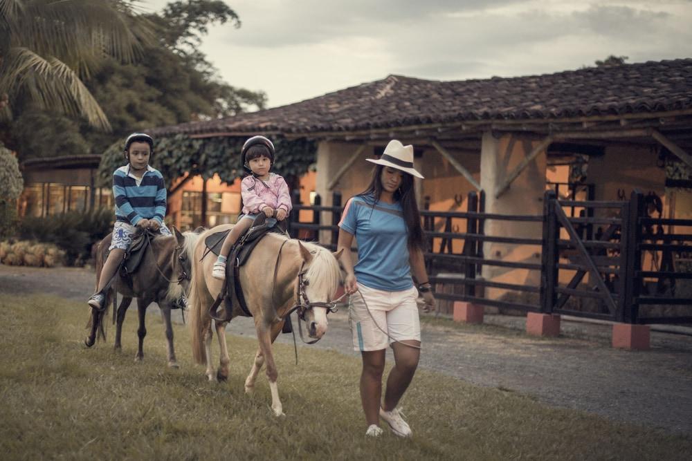 Decameron Panaca -